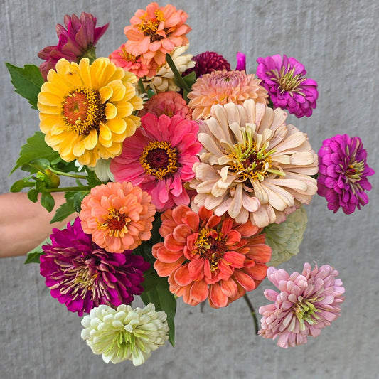 Where to Buy Locally Grown Flowers in Williamsport, PA