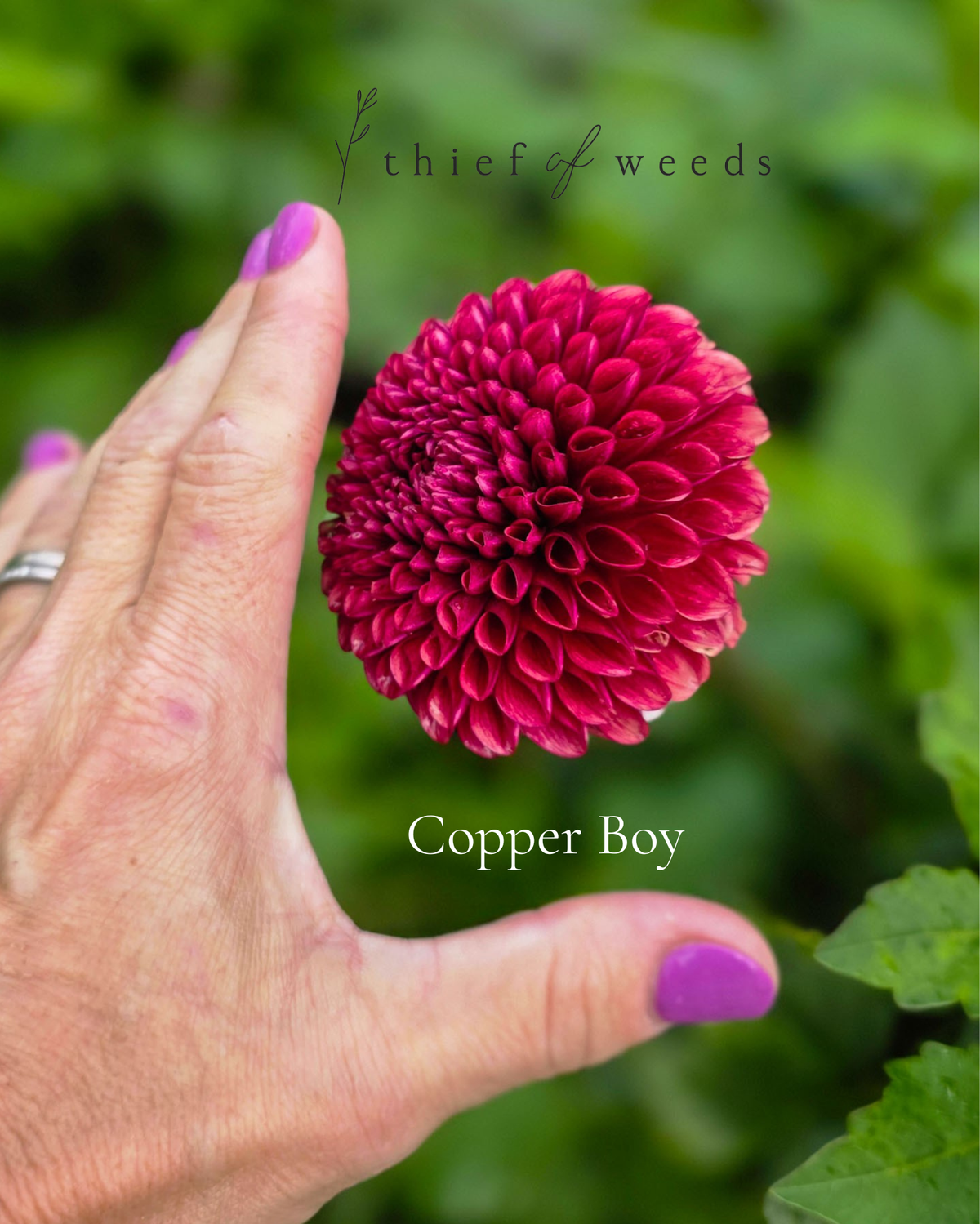 Copper Boy