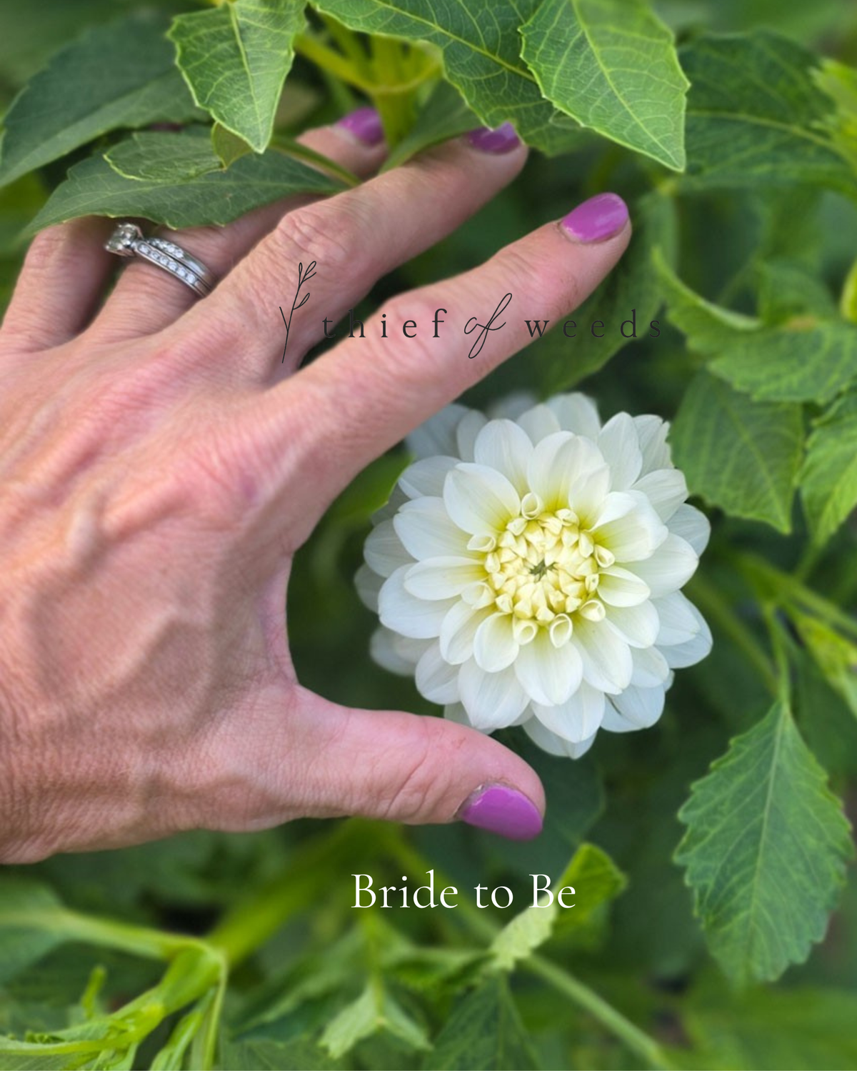 Bride to Be